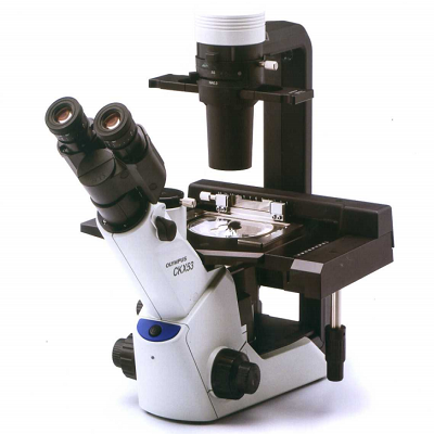 倒置生物显微镜奥林巴斯CKX53